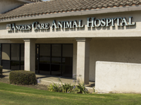 our hospital