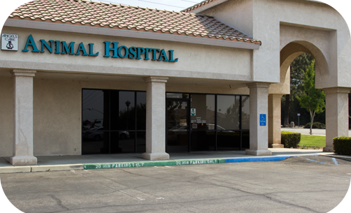 our hospital