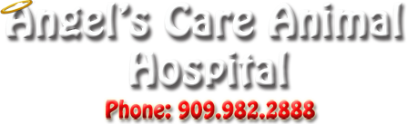 Angel's Care Animal Hospital